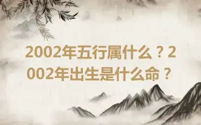 2002年出生|2002年五行属什么 2002年出生是什么命